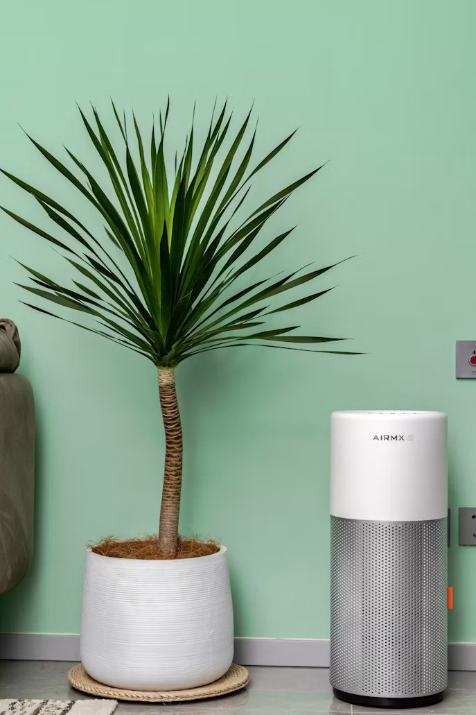 Air Purifier